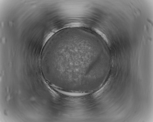 X0000095111473200712211310