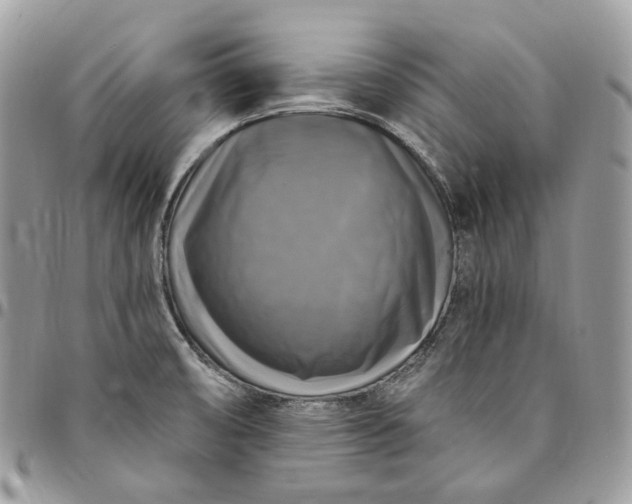 X0000095111474200712211310