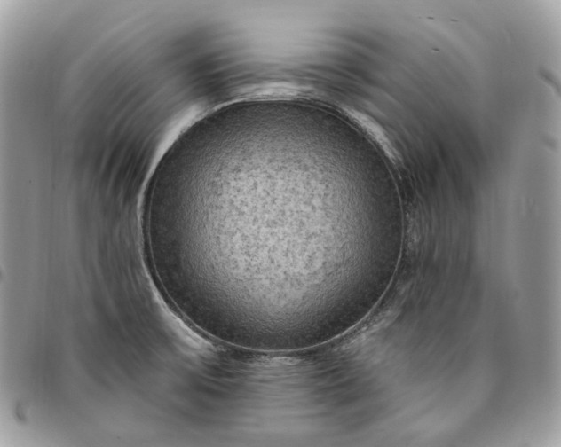 X0000095111475200712211310