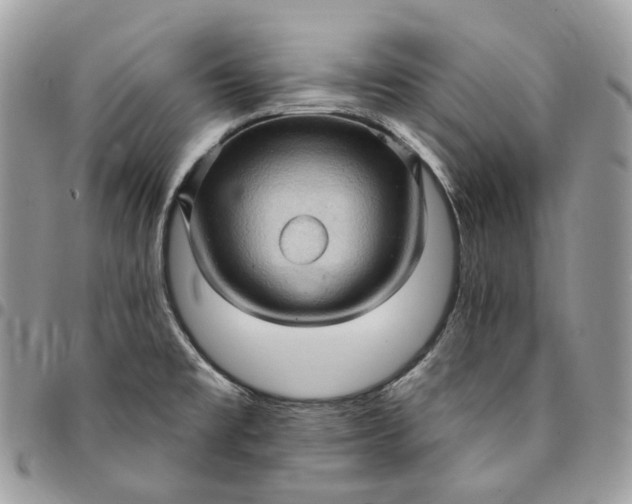 X0000095111477200712211310