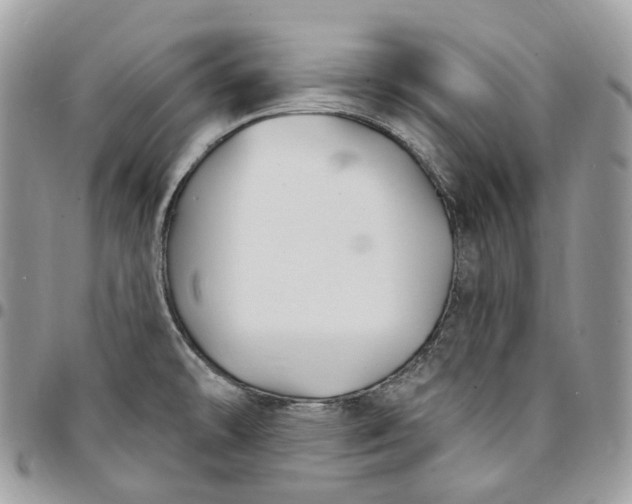 X0000095111478200712211310