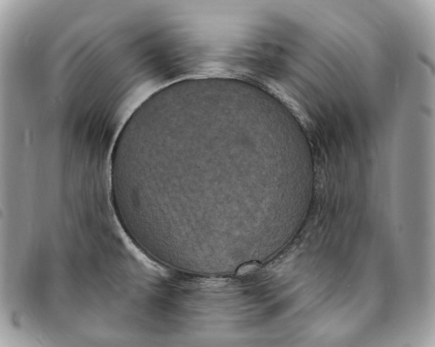 X0000095111479200712211310