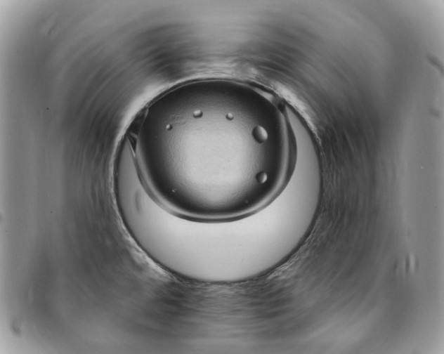 X0000095111480200712211310