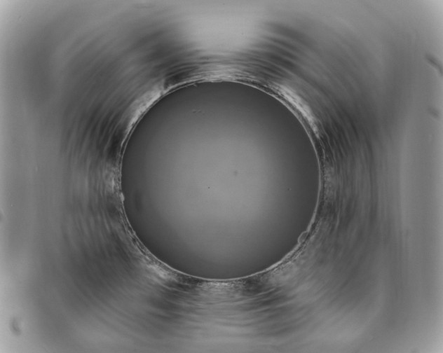 X0000095111481200712211310