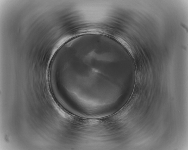 X0000095111482200712211310