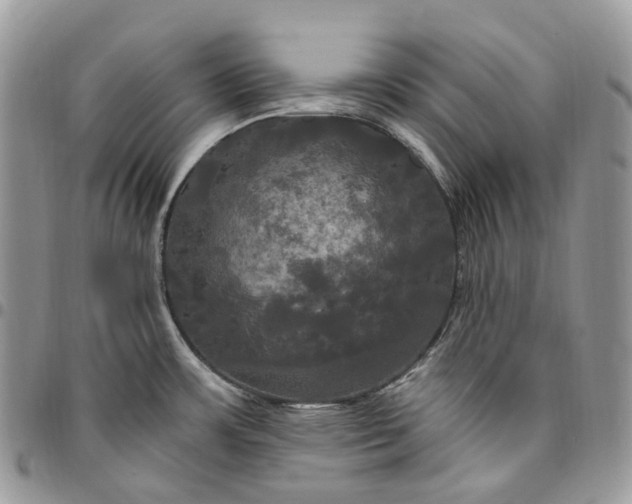 X0000095111483200712211310