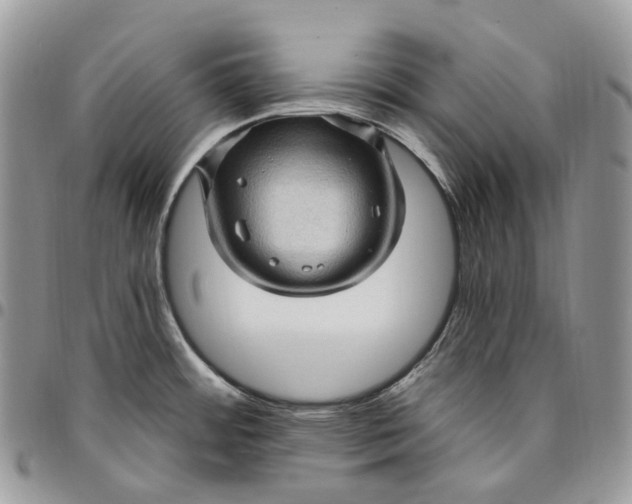 X0000095111484200712211310