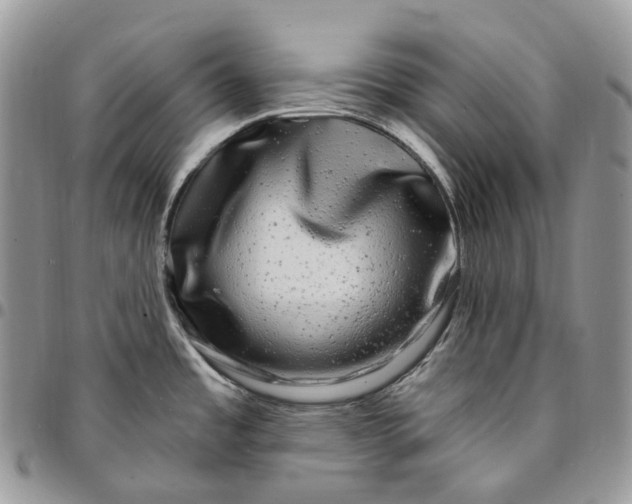 X0000095111485200712211310