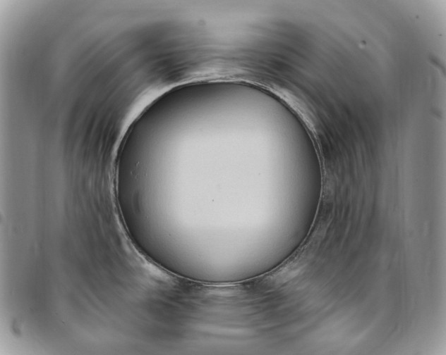 X0000095111486200712211310