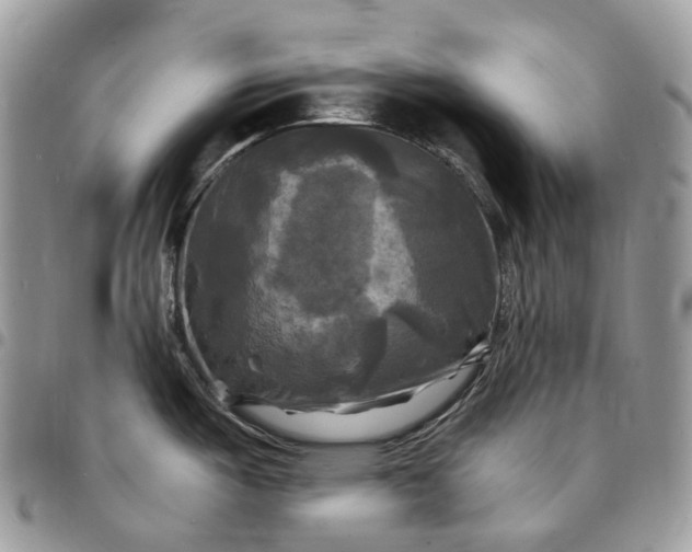 X0000095111487200712211310