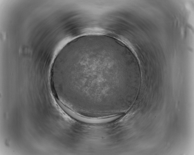 X0000095111488200712211310