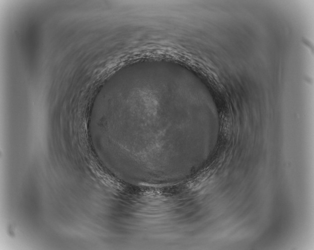 X0000095111489200712211309