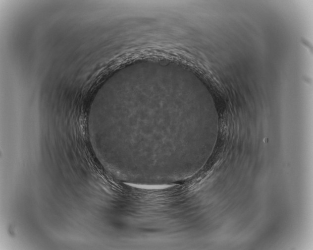 X0000095111490200712211309