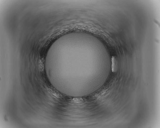 X0000095111491200712211309