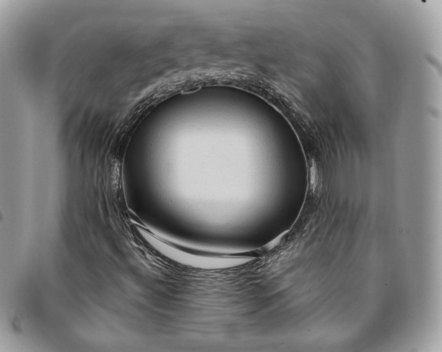 X0000095111492200712211309