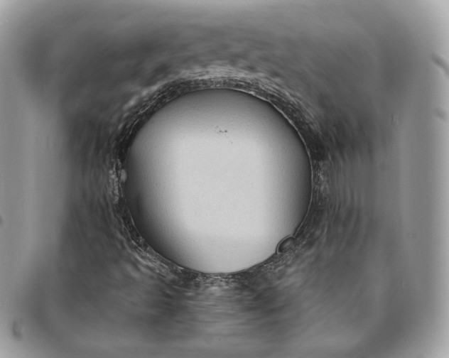 X0000095111493200712211309