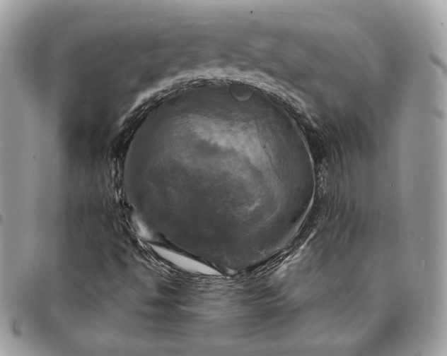 X0000095111494200712211309