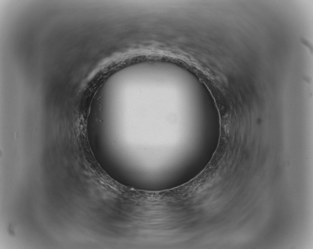 X0000095111495200712211309