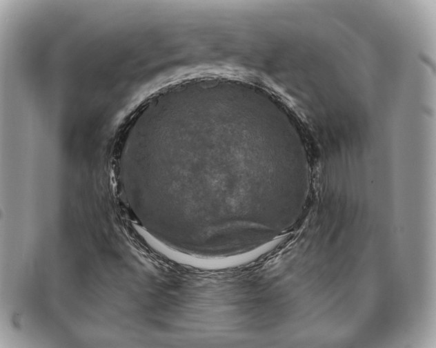 X0000095111496200712211309