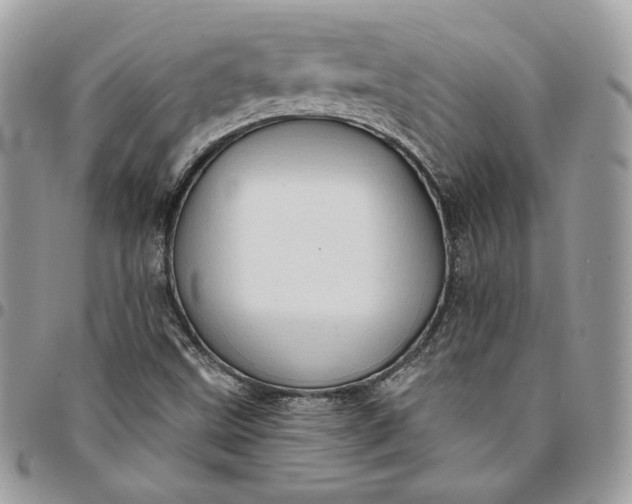 X0000095111499200712211309