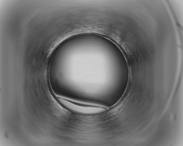 X0000095111500200712211309