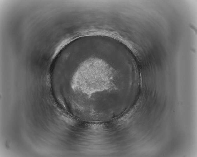 X0000095111501200712211309