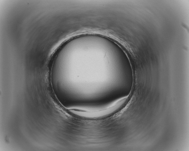 X0000095111502200712211309