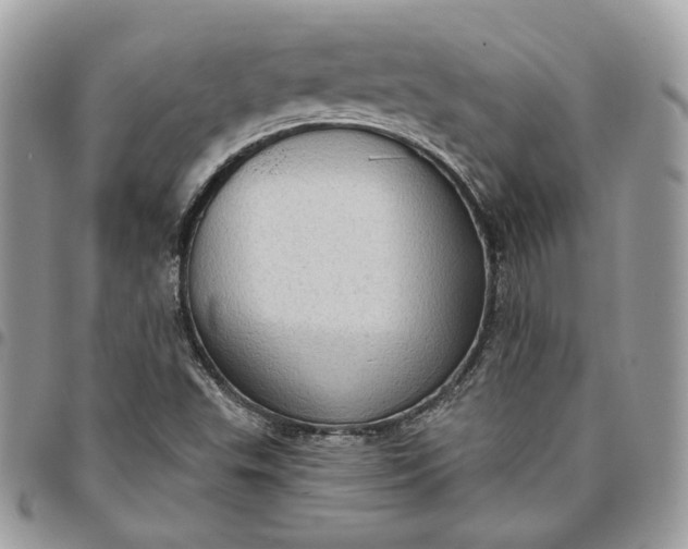 X0000095111503200712211309