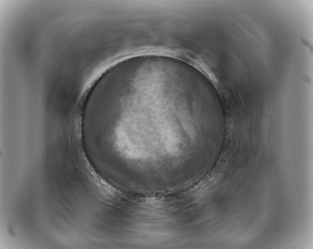 X0000095111504200712211309