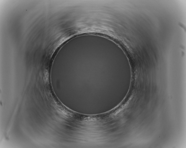 X0000095111505200712211309