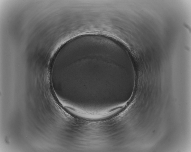 X0000095111506200712211309