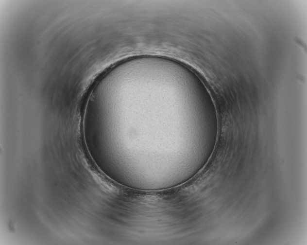 X0000095111507200712211309