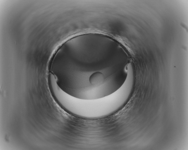 X0000095111508200712211309