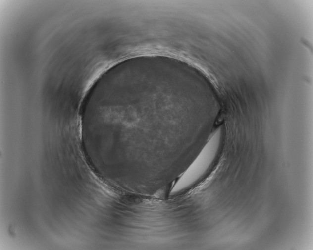 X0000095111509200712211309