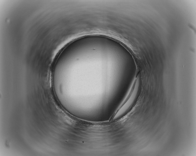 X0000095111510200712211309