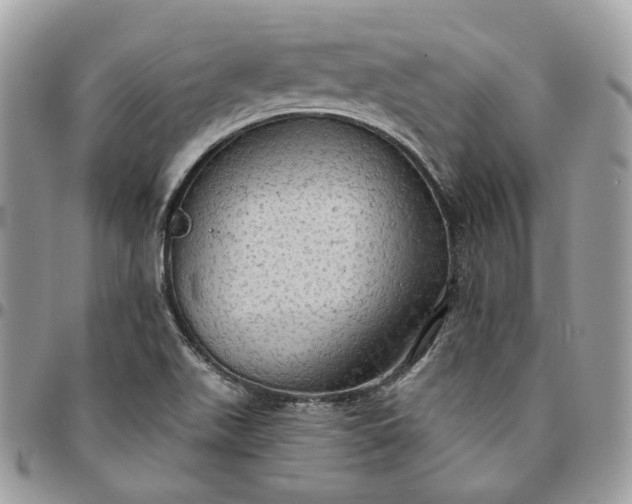 X0000095111511200712211309