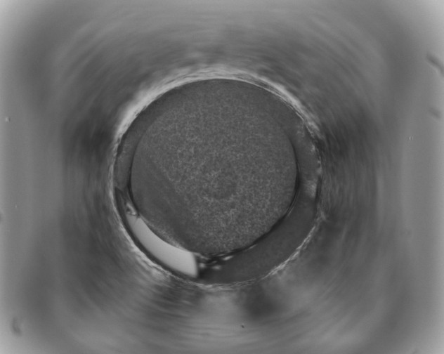 X0000095111512200712211309