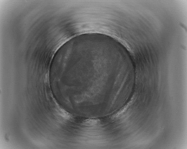 X0000095111513200712211309