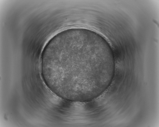 X0000095111514200712211309