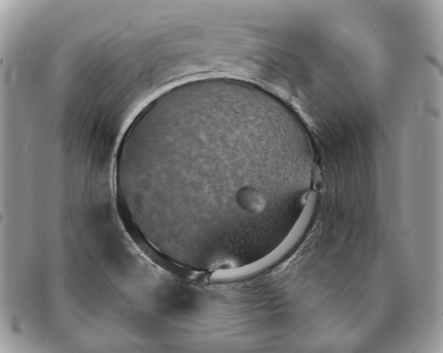 X0000095111516200712211309