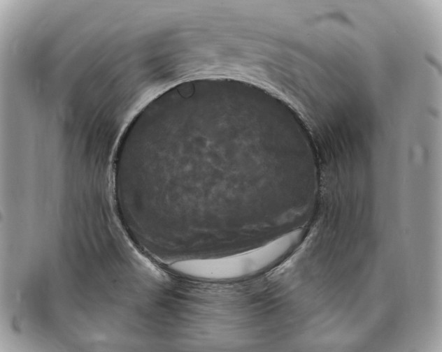 X0000095111517200712211309