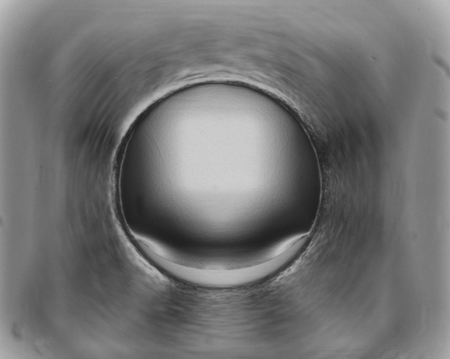 X0000095111518200712211309