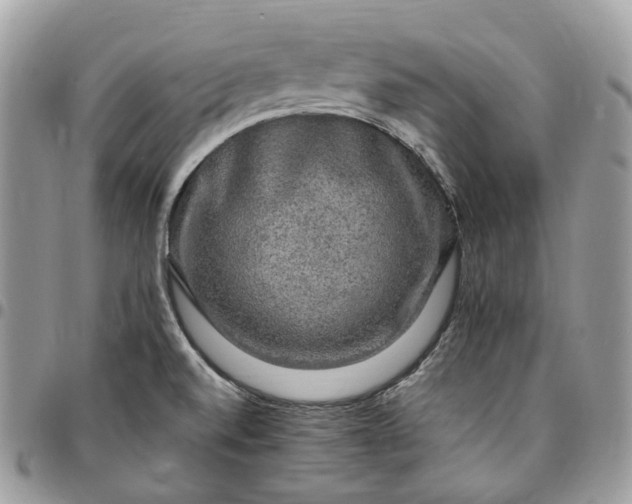 X0000095111520200712211309