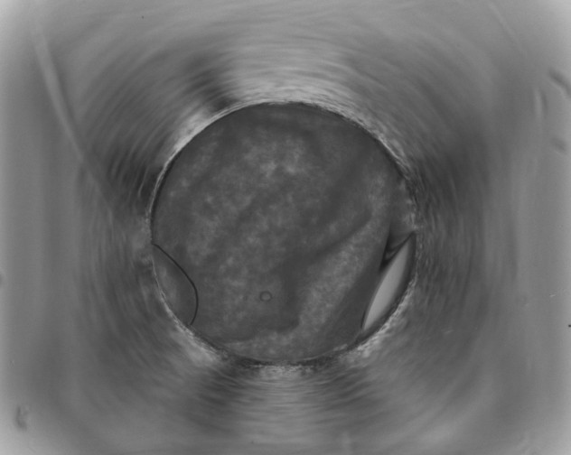 X0000095111521200712211309