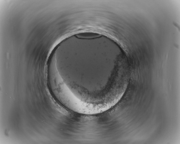 X0000095111522200712211309