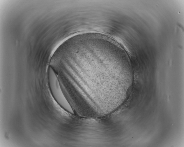 X0000095111524200712211309