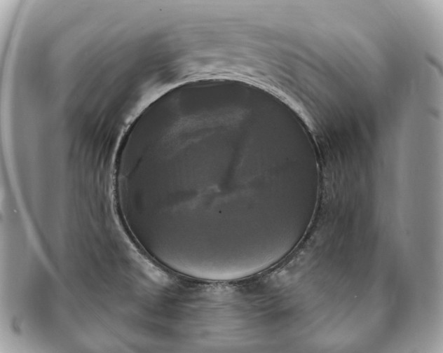 X0000095111525200712211309