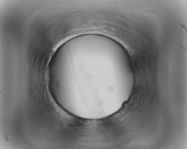 X0000095111526200712211309