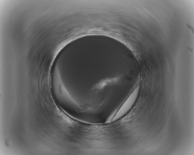 X0000095111527200712211309