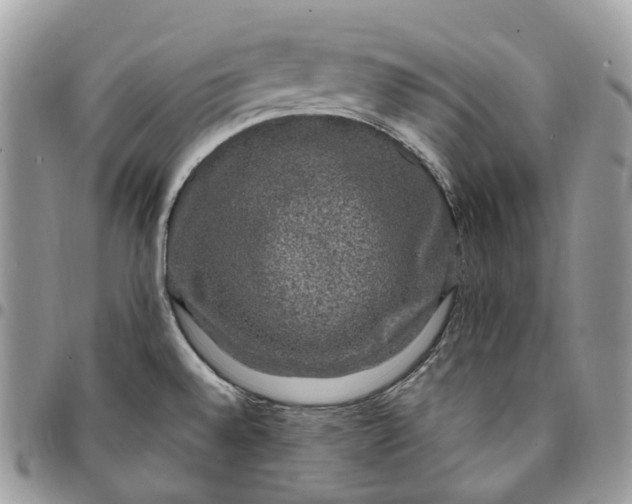 X0000095111528200712211309